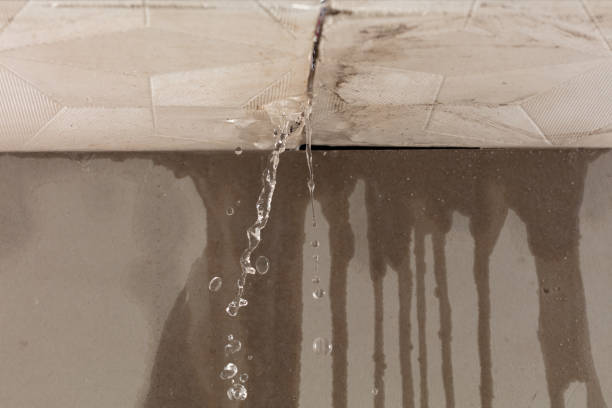 Professional Water Extraction technician working in Sheldon, TX